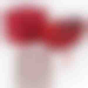 Dal fidanzato per la fidanzata | JULIET_HEARTS_APPLEROSE