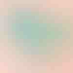 Scatola blu con rosa | BLUEBOX