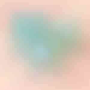 Scatola blu con rosa | BLUEBOX