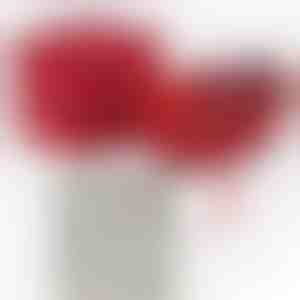 Dalla madre per la figlia | KIARA_CLOVERIE_APPLEROSE