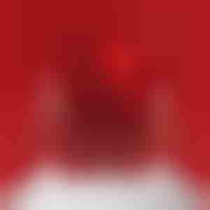 Scatola per gioielli con orso rotante | ROSBEAR