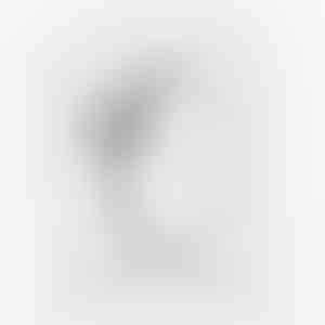 Anello della promessa | HEARTISO